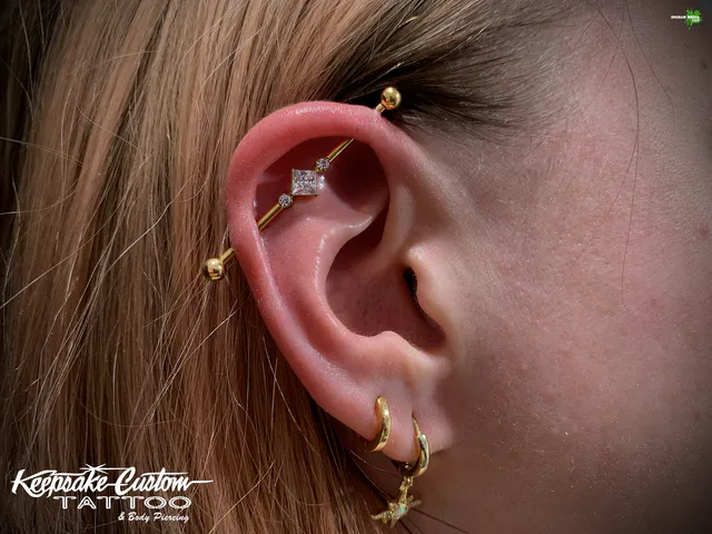 Piercing work by Leo, portfolio photo 10