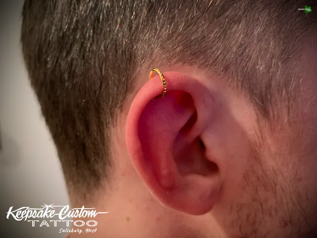 Piercing work by Leo, portfolio photo 19