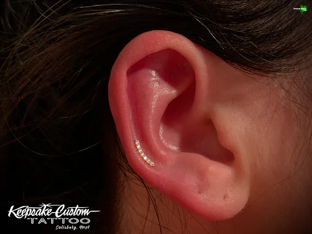 Piercing work by Leo, portfolio photo 24